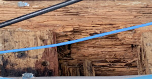 Termite Damage to timbers