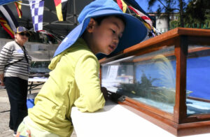 Young visitor during Fleet Base East Open Day